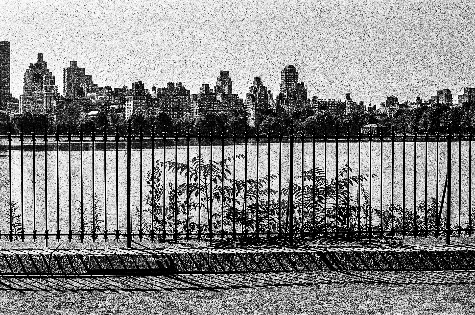 Central Park fetchpriority=